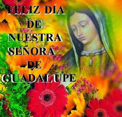 Virgen de Guadalupe  Imágenes screenshot 13