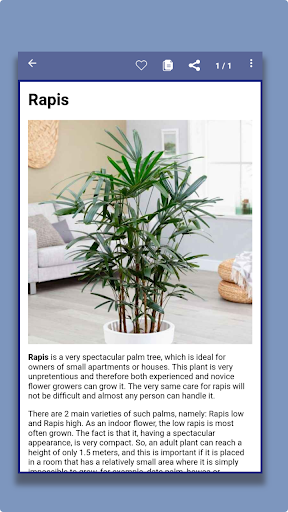 Indoor plants Screen 2