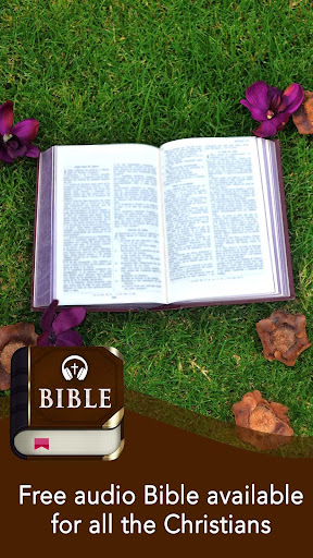 Bible offline app Screen 3