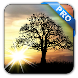 Sun Rise Pro Live Wallpaper icon