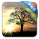 Sun Rise Pro Live Wallpaper - Androidアプリ