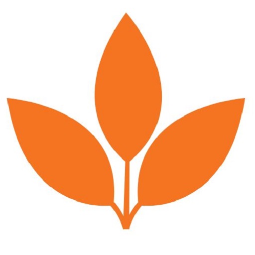 Visit and Audits logo