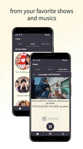 Learn Korean with Idols Screen 2