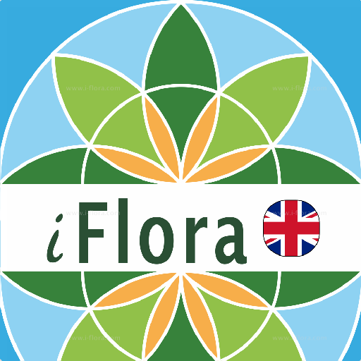 iFlora - Flora of Great Britai  Icon