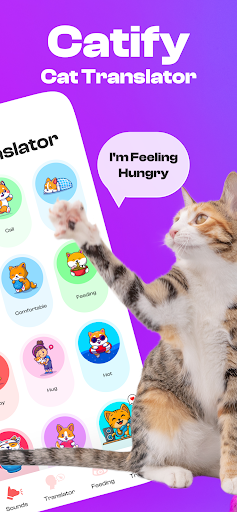 Catify: Cat Translator Screen 2