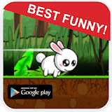 Bunny Adventure Game Free icon