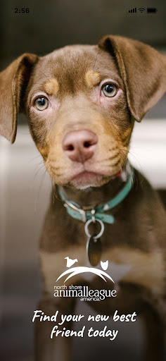 Android application Adopt a Rescue screenshort