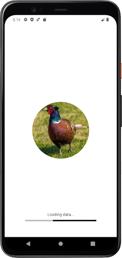 Android application Pheasant Sounds screenshort