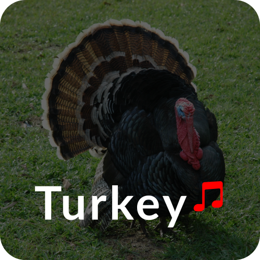 Turkey Ringtones logo
