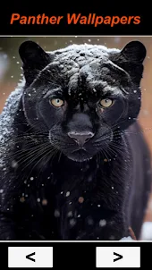 Black Panther Sim Wallpaper 4K