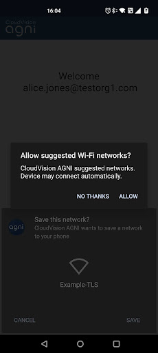 CloudVision AGNI Screen 3