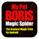 Magic Spider icon