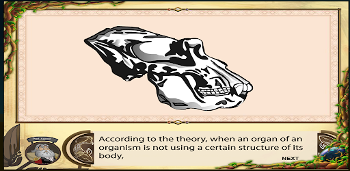 Theories of Evolution Screen 3