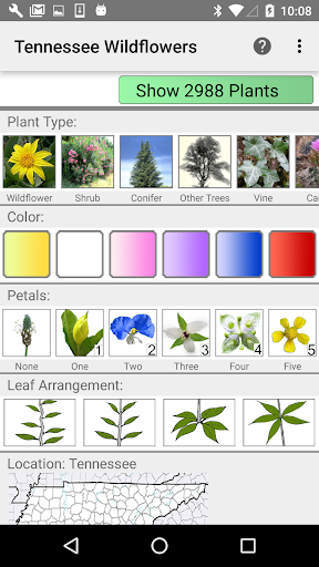 Tennessee Wildflowers