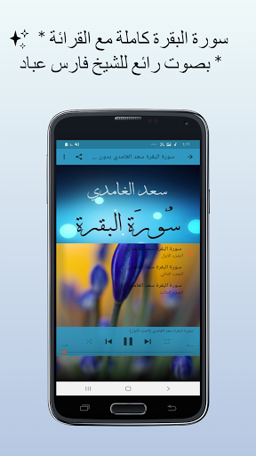 Download 95+ Contoh Surat Surat Al Baqarah Saad Al Ghamdi Gratis Terbaru