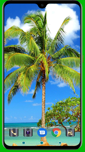 Palm Springs Wallpaper Screenshot 1 - AppWisp.com