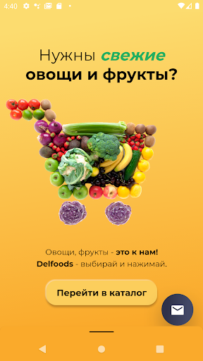 Delfoods Screen 2