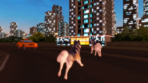 Husky Simulator Screen 3