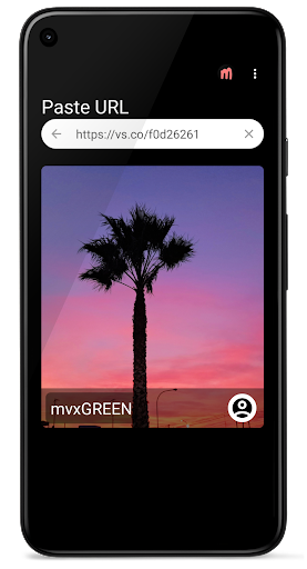 Downloader for VSCO Screen 3