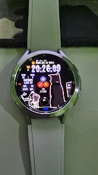 C07 - Basket Cats Digital - Screenshot Image