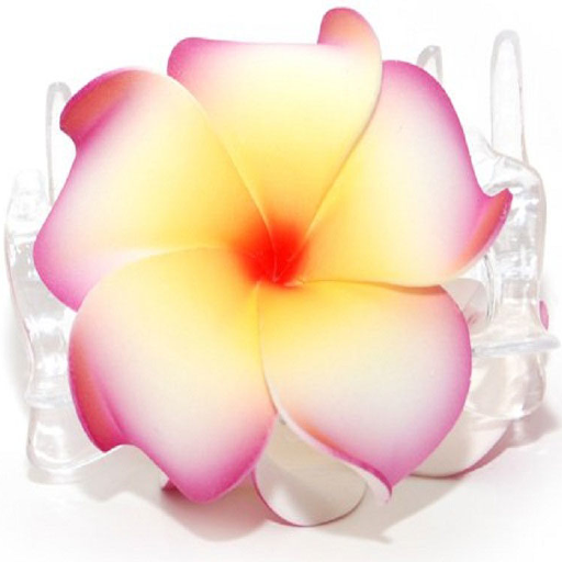 Flower Pictures Scarica su Windows