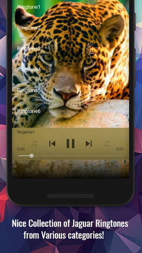 Jaguar Sounds Screen 2