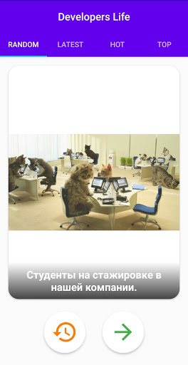 Developers Life: Мемы Screen 2