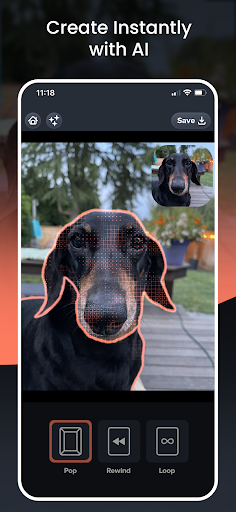Screenshot of Picadelic Photo Effects Editor