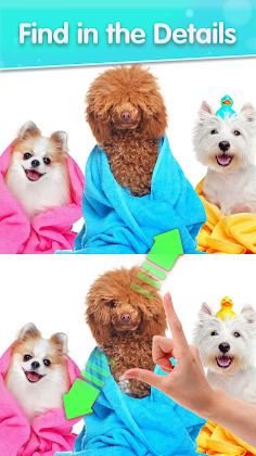 Find Differences Puzzle Game - Screenshot 2