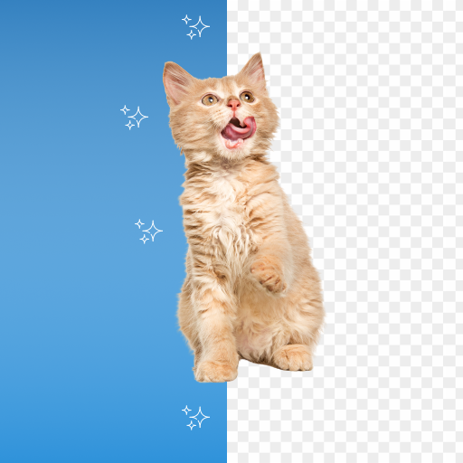Remove background from image logo