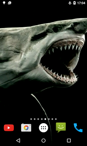 Shark 4K Video Live Wallpaper Screen 3