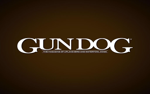 Gun Dog Magazine Screen 2