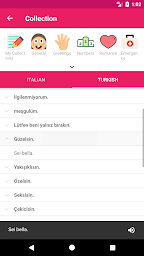 Italian Turkish Offline Dictionary & Translator