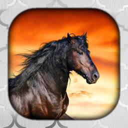 Icon image Horse Wallpaper Live HD/3D/4K