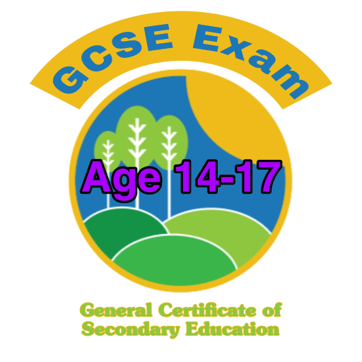 GCSE Test And Pratice logo