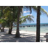 Travel Ambergris Caye Belize icon