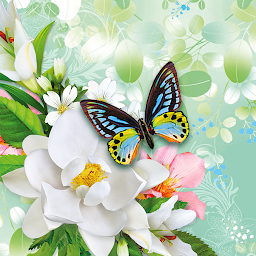 「Butterflies Live Wallpaper」圖示圖片