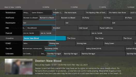 Dexter LiveTV using Perfect Player Android App 