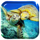 Turtle Underwater icon