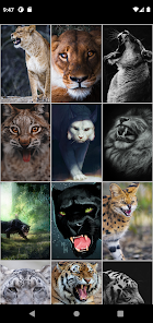 Screenshot 13 Fondos de animales depredadore android