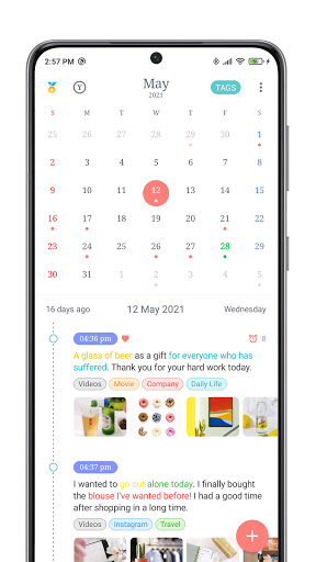Screenshot of Tags & Diary