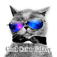 Cool Cat x Galaxy Theme