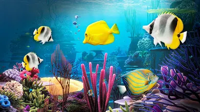 水族館ライブ壁紙 Google Play のアプリ