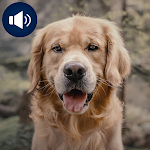 Cover Image of Download Dogs Sounds  APK