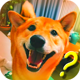 Talking with Dog Phrasebook icon