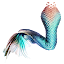 Mermaid's tail