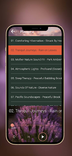 Relaxing meditation sleepmusic Screen 2