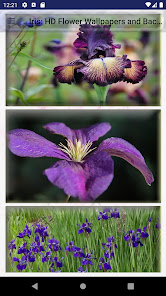 Iris: HD Flower Wallpapers and 2.18 APK + Mod (Free purchase) for Android