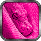Pink Snake Live Wallpaper icon