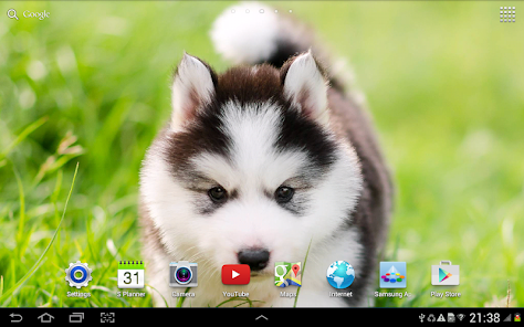 Cute Puppies Live Wallpaper - Apps on Google Play